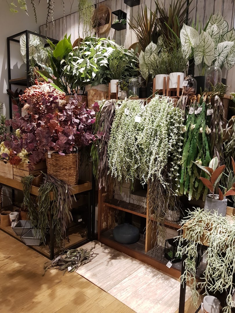 A vibrant display of artificial plants and home decor items, showcasing HOOGA's cozy and natural aesthetic.
