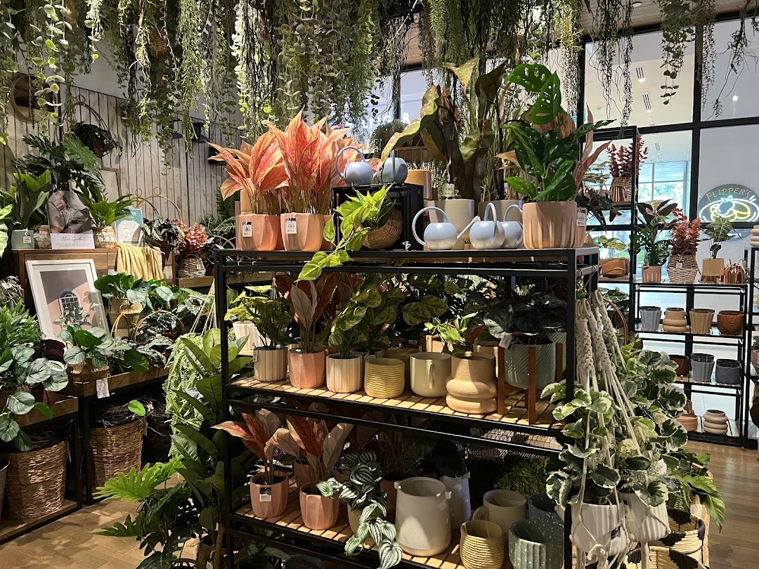 Vibrant display of lush plants, stylish pots, and home decor items inside HOOGA Westgate.
