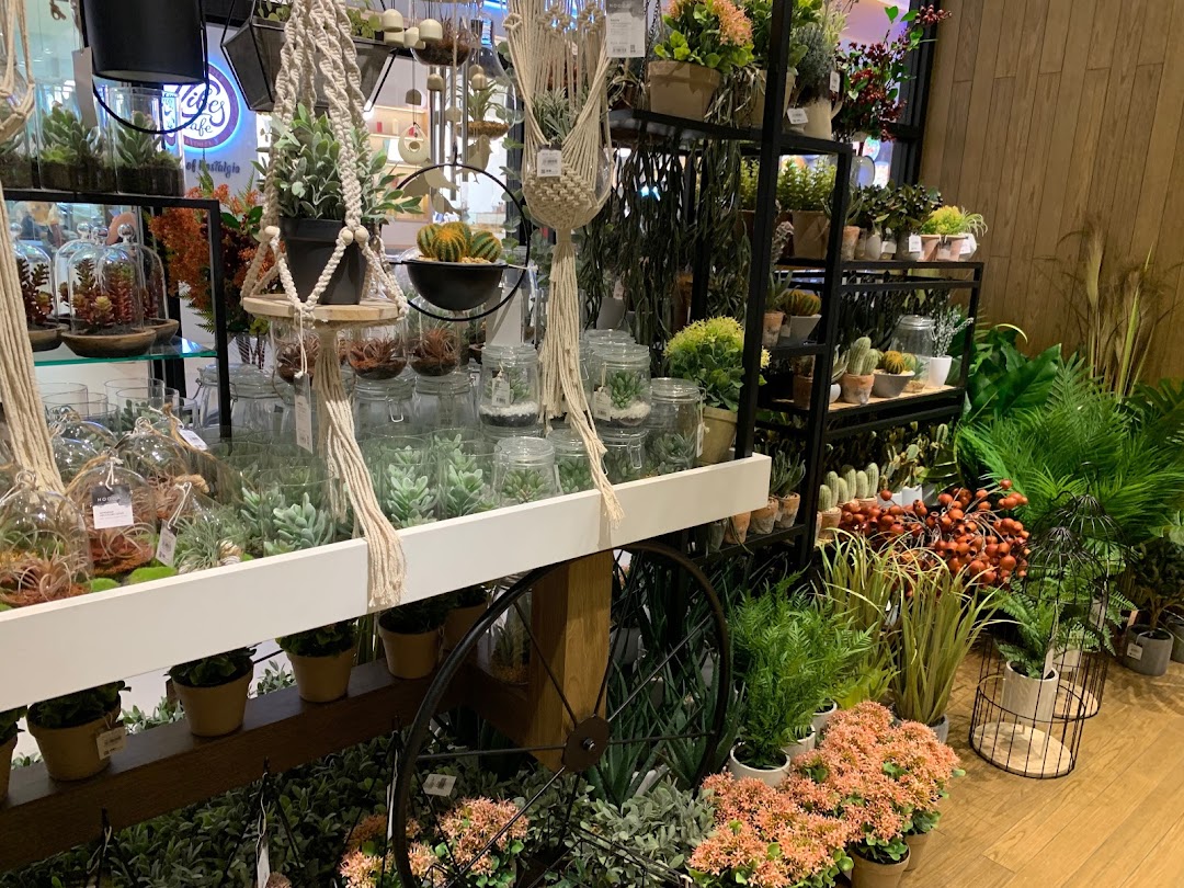 A vibrant display of artificial plants, succulents, terrariums, and home decor items at HOOGA Westgate.