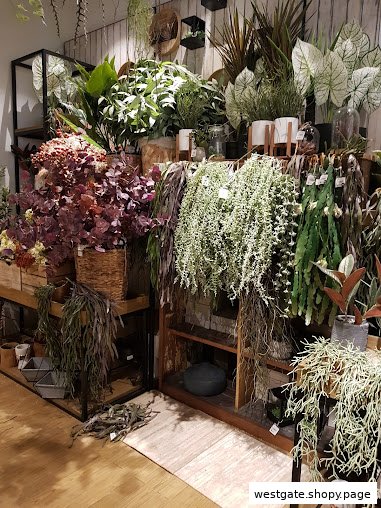 Shop image
