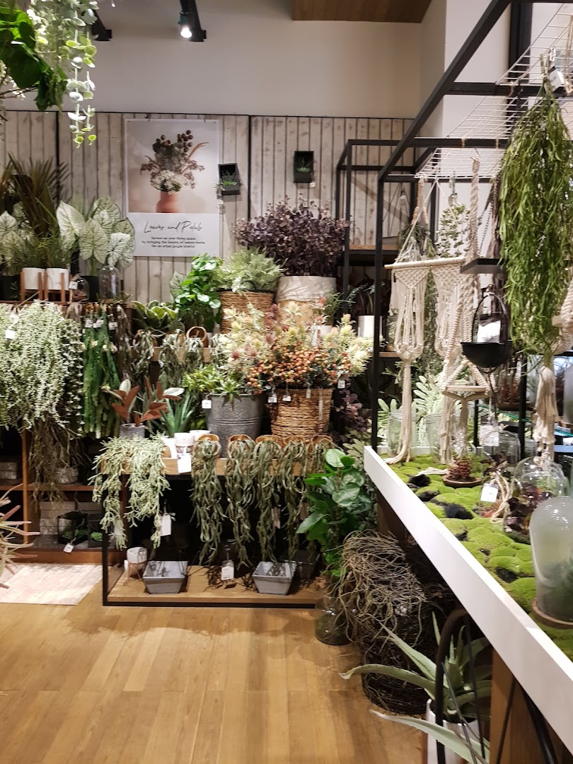An inviting interior view of HOOGA Westgate, showcasing a wide array of artificial plants, home decor, and greenery.