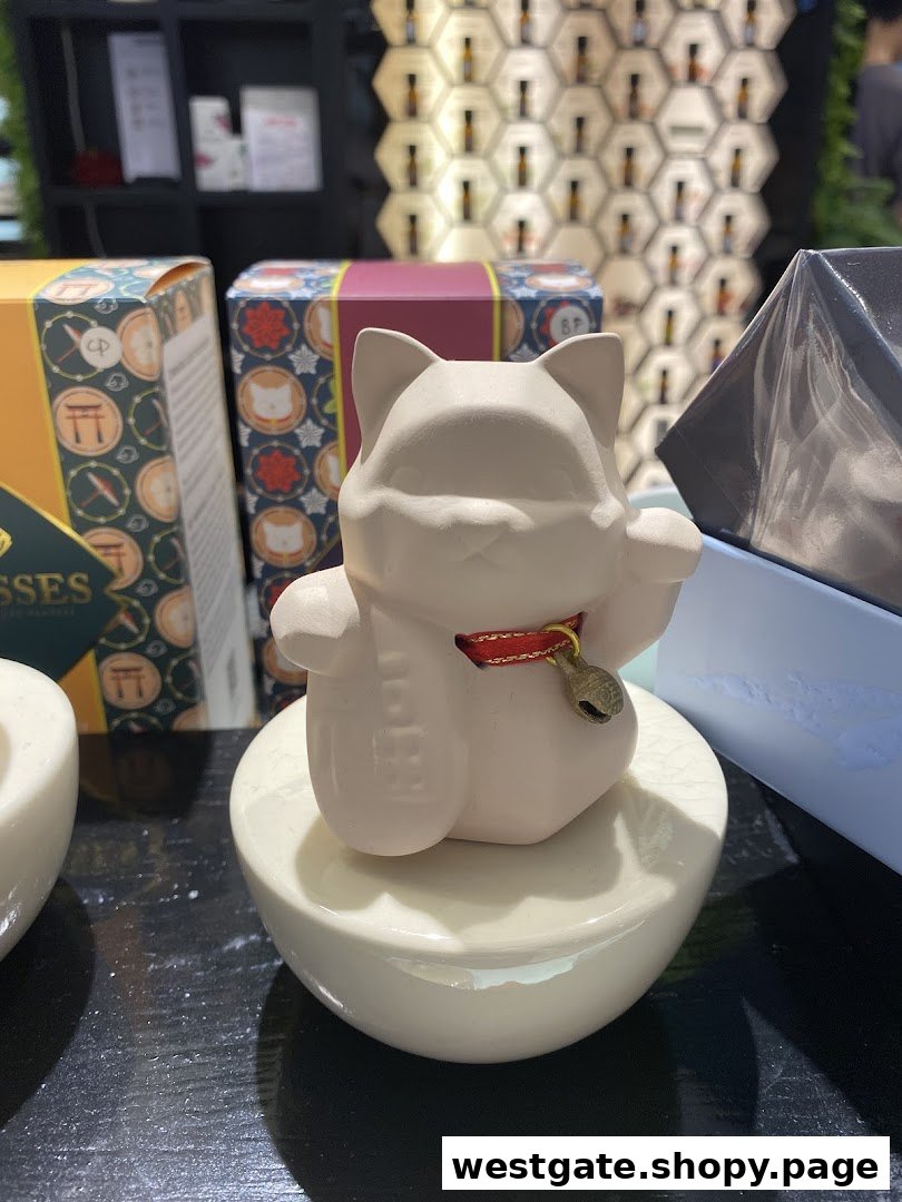 Close-up of a decorative lucky cat figurine and product packaging in a home scents shop.