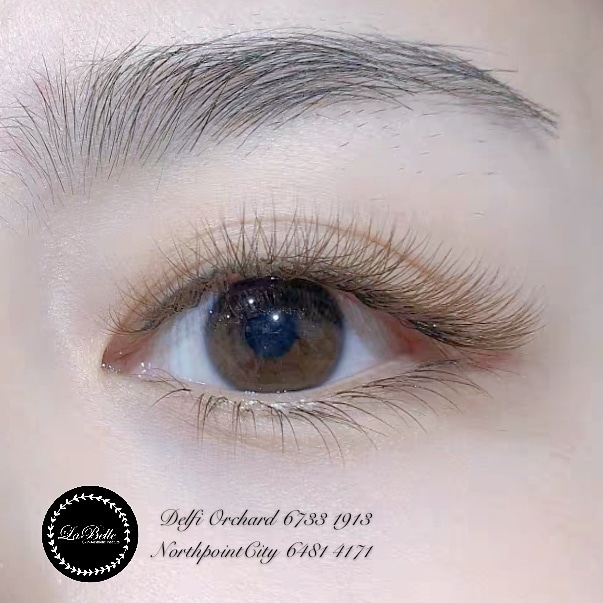 Close-up of an eye showcasing perfectly applied eyelash extensions and groomed eyebrows.
