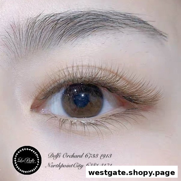 Close-up of an eye showcasing perfectly applied eyelash extensions and groomed eyebrows.
