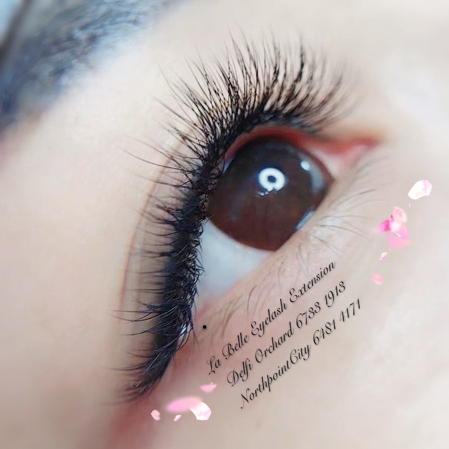 A close-up view of an eye showcasing beautifully applied, voluminous eyelash extensions.
