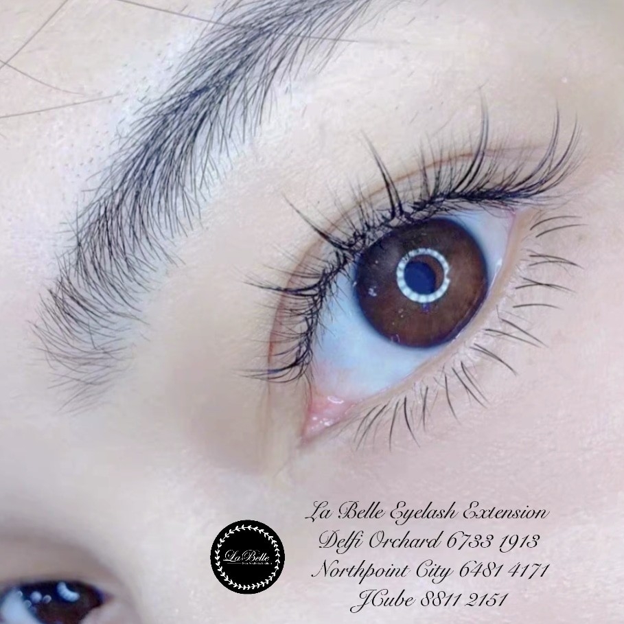 Close-up of an eye showcasing beautifully applied eyelash extensions, highlighting the shop's aesthetic services.