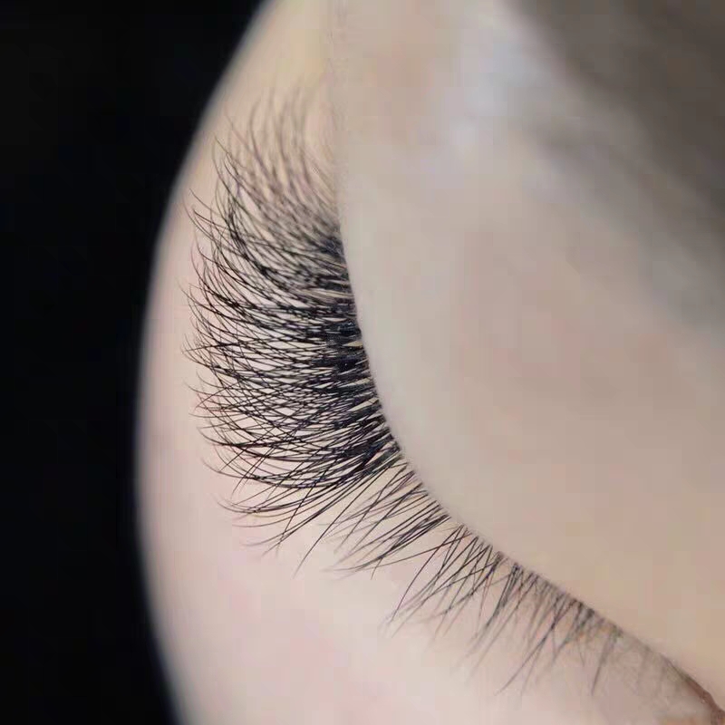 Close-up of a client's eye showcasing beautifully enhanced eyelashes after a treatment.