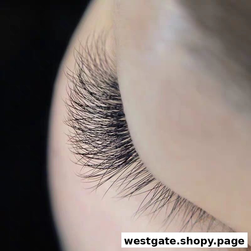 Close-up of a client's eye showcasing beautifully enhanced eyelashes after a treatment.