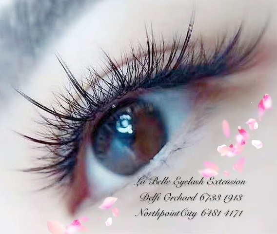 Close-up of an eye showcasing beautifully extended eyelashes, highlighting the salon's expertise.