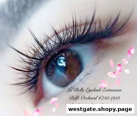 Close-up of an eye showcasing beautifully extended eyelashes, highlighting the salon's expertise.
