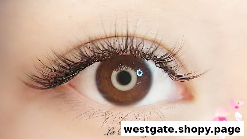 Close-up of an eye showcasing beautifully extended eyelashes from La Belle.