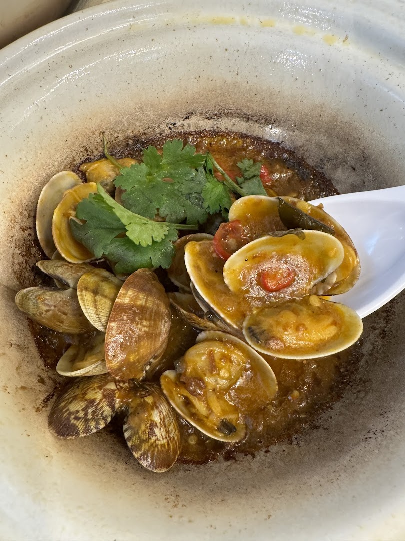 Close-up of savory clams cooked in a rich sauce, garnished with fresh cilantro, served in a rustic bowl.