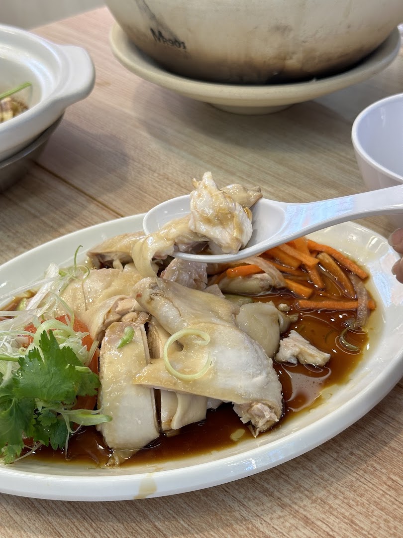 A close-up of tender poached chicken with savory sauce, carrots, and fresh herbs, ready to be enjoyed.