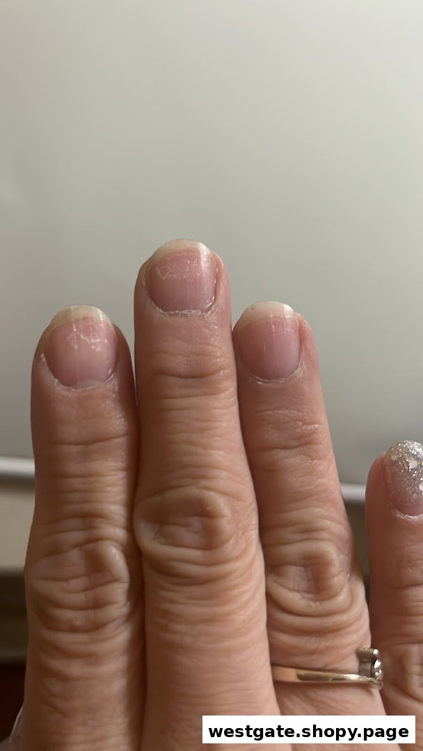 Nailz Gallery  Westgate image 1