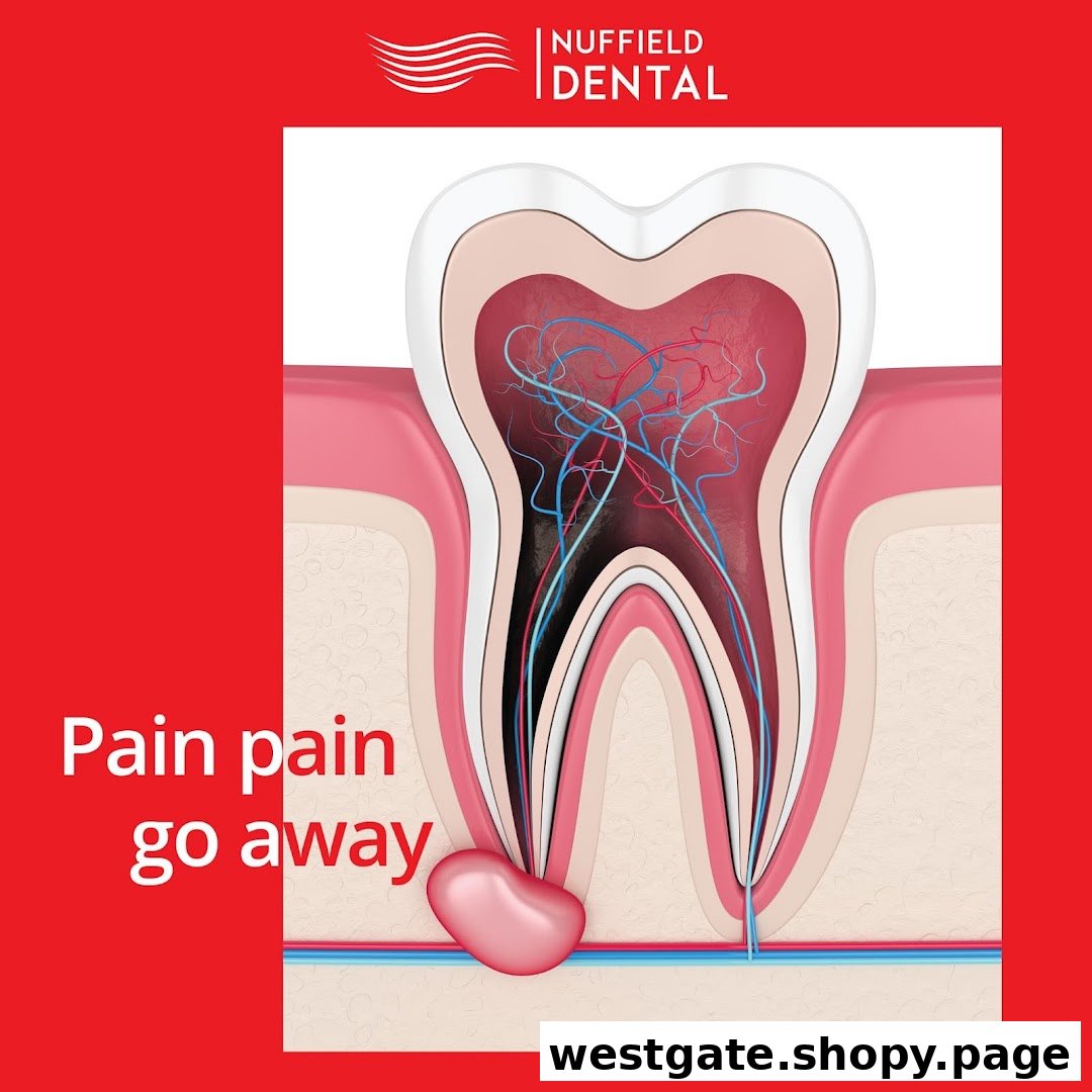 An anatomical diagram of a tooth with a painful area and the text 'Pain pain go away'.