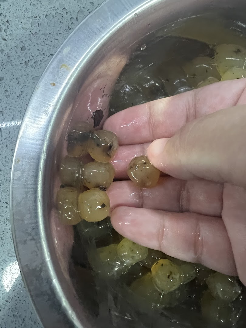 A hand holding freshly made, translucent pearls in a bowl, likely for bubble tea.