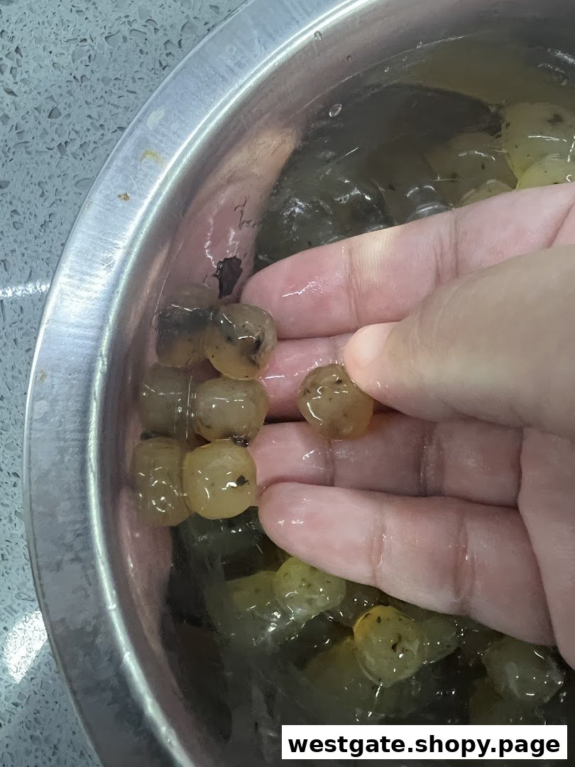 A hand holding freshly made, translucent pearls in a bowl, likely for bubble tea.