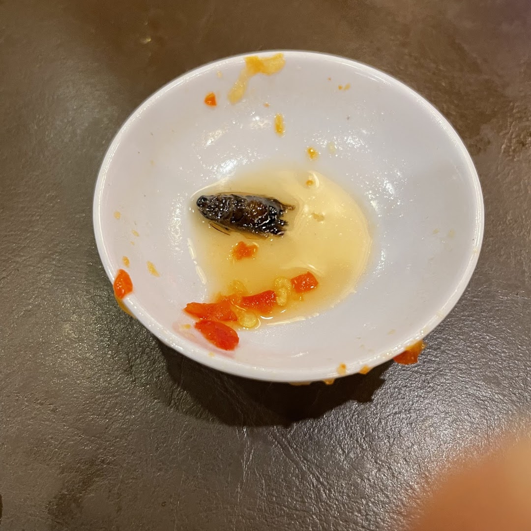 A small white bowl containing sauce, chili, and an insect on a dark table.