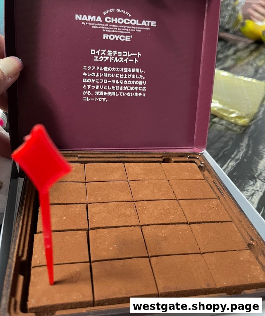 A box of Royce Nama Chocolate, Ecuador Sweet variety, with a red serving tool.