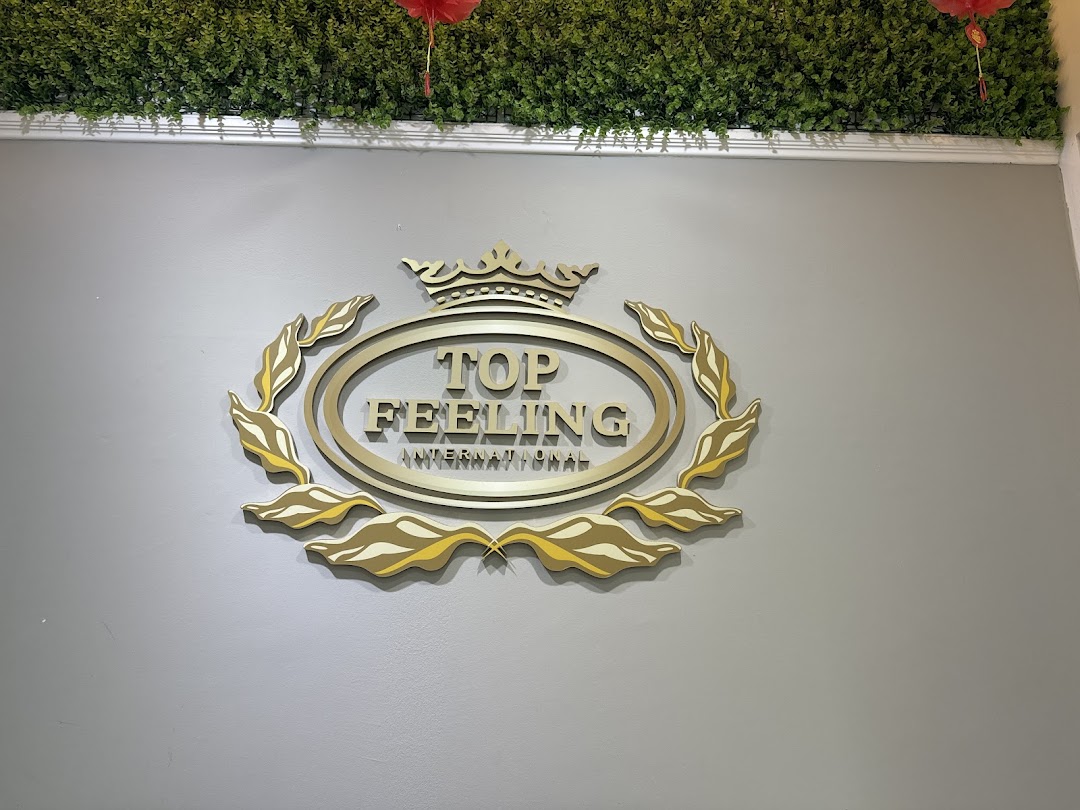 A close-up of the elegant gold 'Top Feeling International' logo on a grey wall with green foliage above.