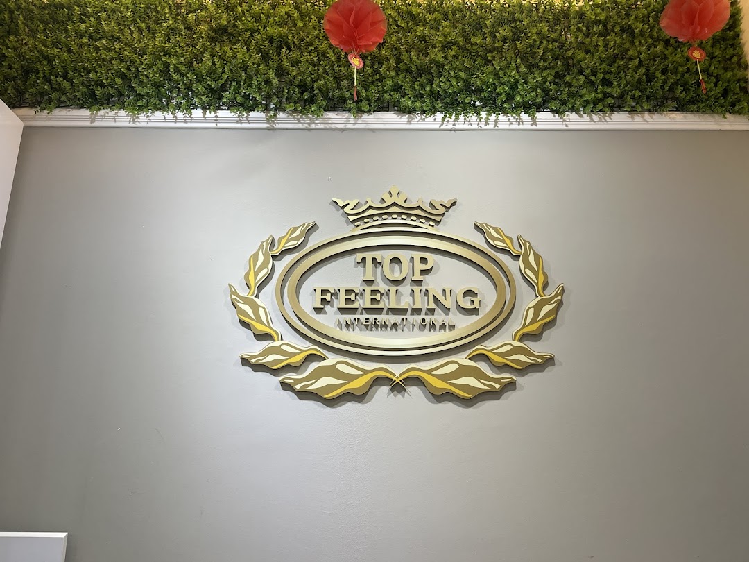 A golden 3D logo for 'Top Feeling International' mounted on a grey wall with green foliage decor.