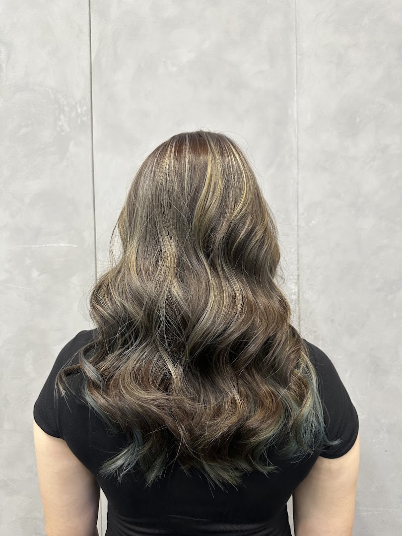 A person's back showcasing beautifully styled hair with highlights and subtle blue tones.