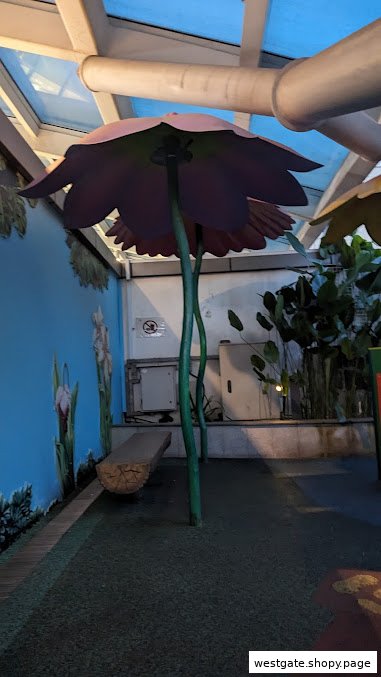 Shop image