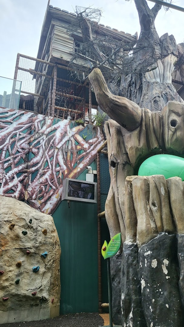 An adventurous indoor play area featuring a climbing wall, treehouse structure, and intricate root designs.