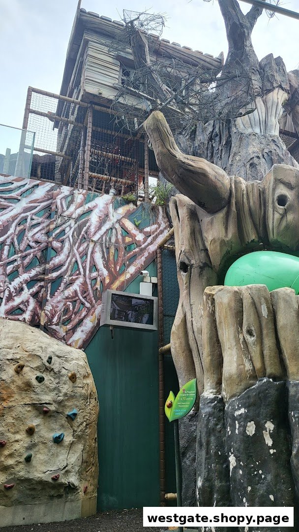 An adventurous indoor play area featuring a climbing wall, treehouse structure, and intricate root designs.