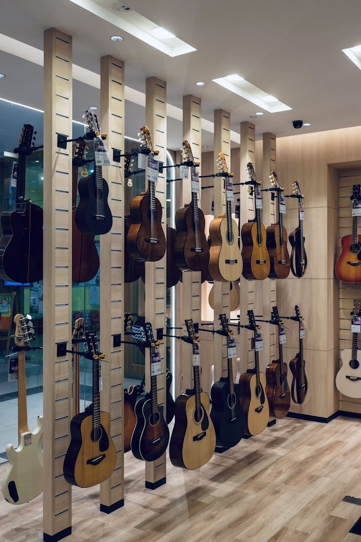 A wide selection of acoustic and classical guitars displayed neatly in a music store.
